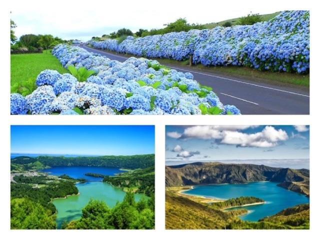 2Stay - A1 Ponta Delgada Eksteriør bilde